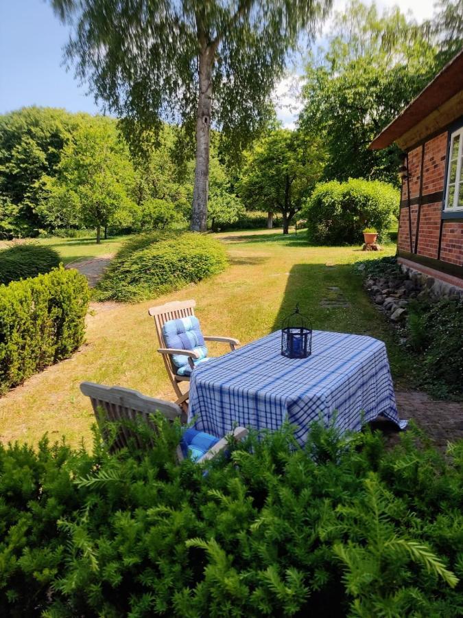 Chalet Forsthof Everstorf - Kleine Wohnung 그레베스뮐렌 외부 사진